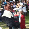 IMG_1550
