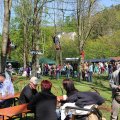 IMG_1650
