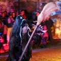 IMG_2448